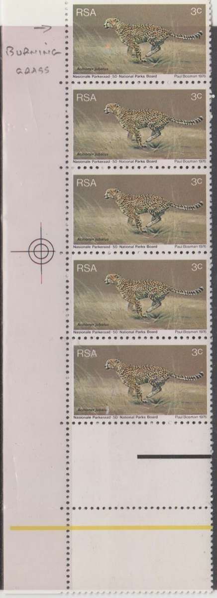 RSA, AWESOME VARIETIES TO BE NOTED, GREEN DOT, BURNING GRASS, SEE SCANS, MINT**