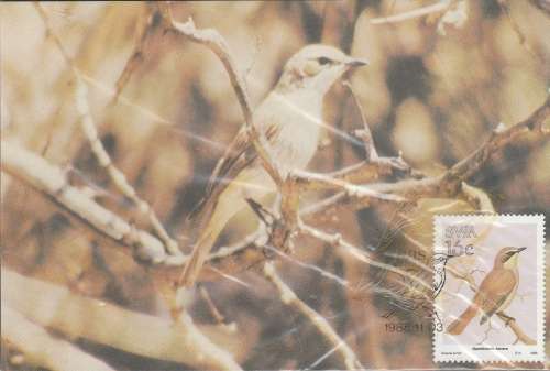 SWA: BIRDS OF SOUTH WEST COMPLETE SET EXCELLENT CONDITION SEE SCANS (X2) LOVELY ITEM