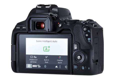 CANON EOS 250D