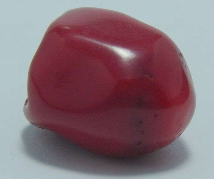 Natural RED CORAL