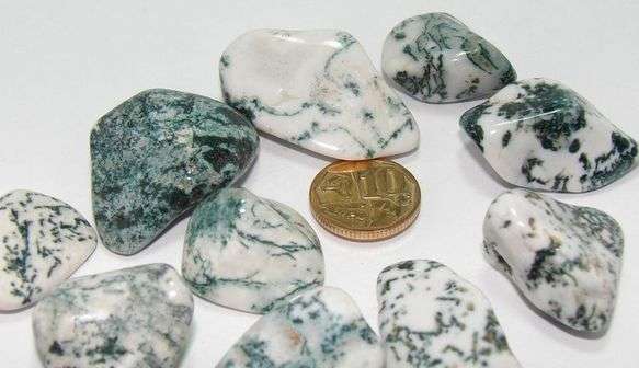 TREE AGATE