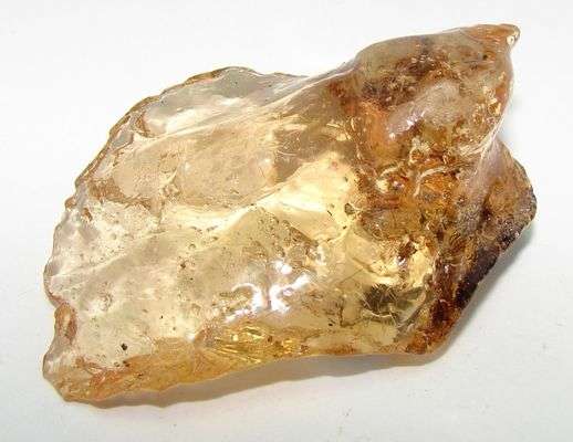 Natural AMBER with PLANT and / or INSECT inclusions