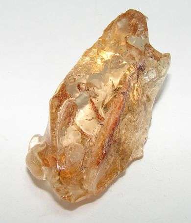 Natural AMBER with PLANT and / or INSECT inclusions
