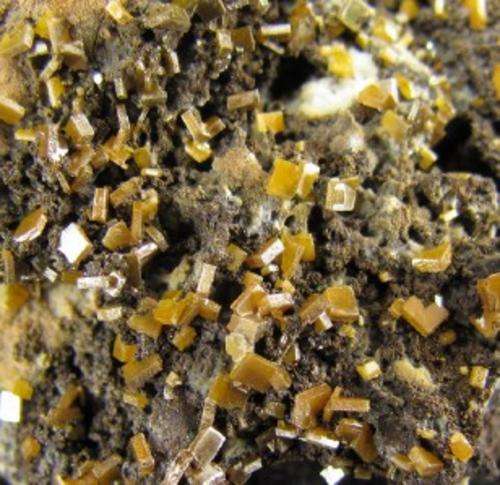 YELLOW WULFENITE (Defiance Mine, Arizona)