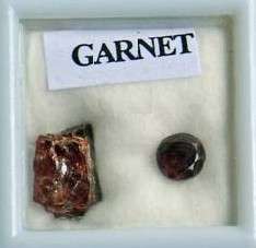 GARNET