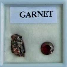 GARNET