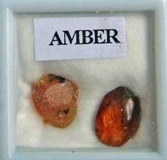 Natural AMBER - raw and polished - great for collectors!