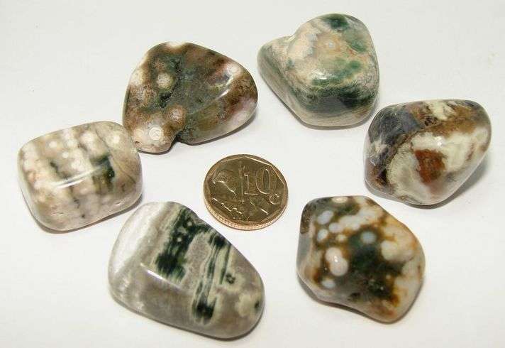 OCEAN JASPER / ORBICULAR JASPER