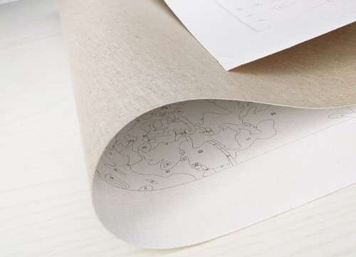 DIY PAINT BY NUMBERS. CANVAS KIT