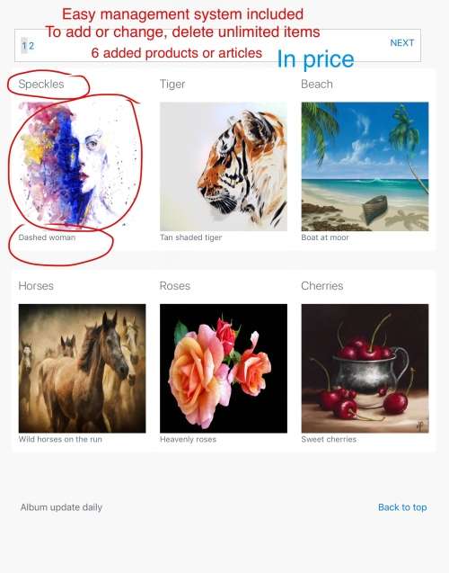 Custom designed 5 page Website for you or your business. Mobile responsive. Free hosting