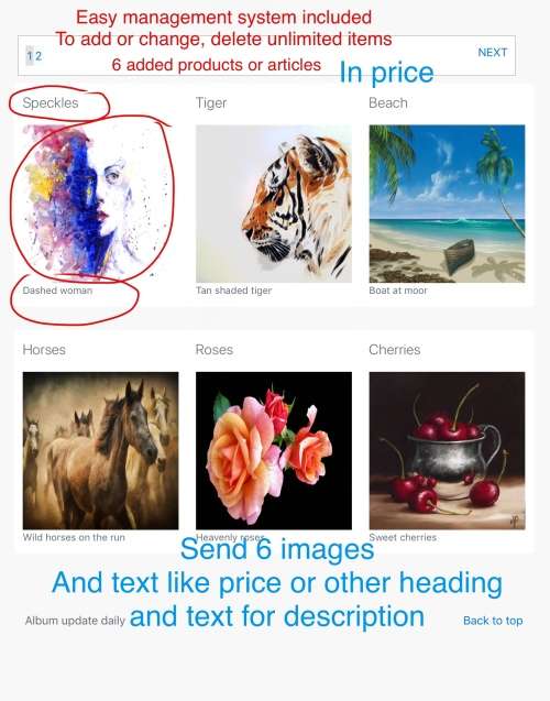 Custom designed 5 page Website for you or your business. Mobile responsive. Free hosting