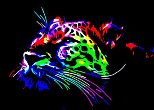 DIY PAINT BY NUMBERs CANVAS KIT