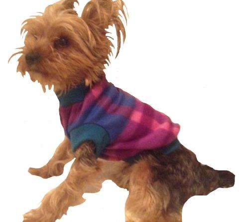 GORGEOUS, WARM POLAR-FLEECE DOG JACKETS : 2 JACKETS FOR THE PRICE OF 1