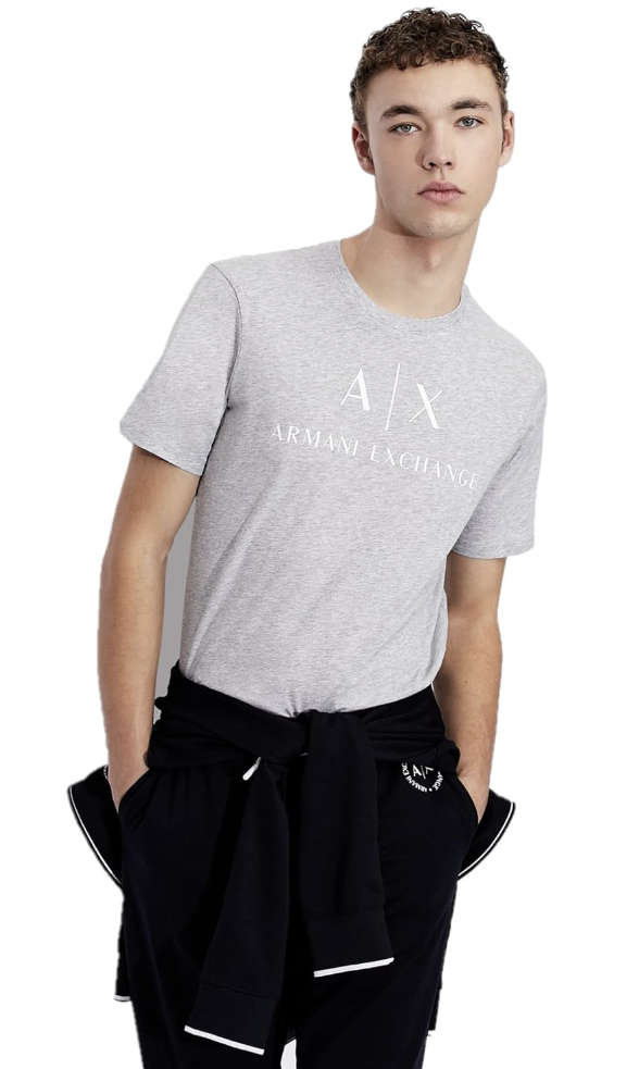 Armani Exchange A | X Grey T-Shirt (Size - XXL) Bought in Dubai