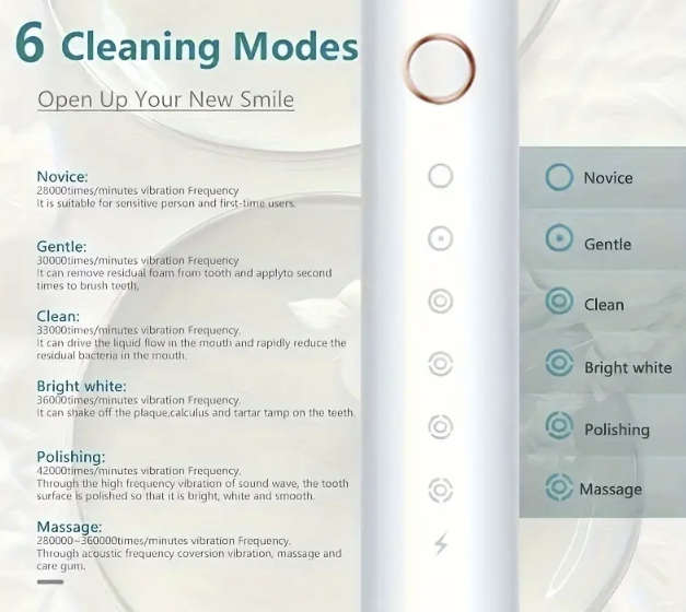 6 Cleaning Mode Electric Toothbrush (Black)