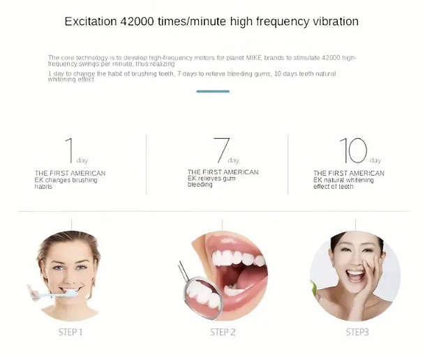 6 Cleaning Mode Electric Toothbrush (Black)