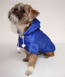 Explorer Jacket for dogs - Medium