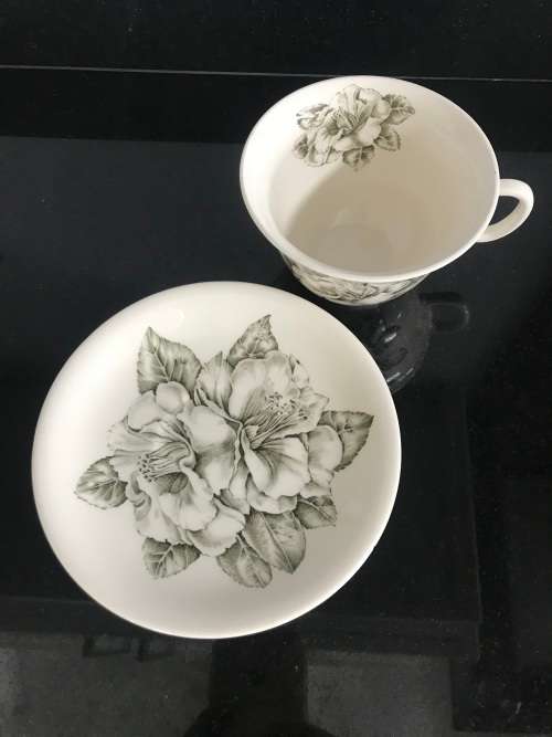 A GENUINE HAND ENGRAVED `CAMELLIA` CUP AND SAUCER - JOHNSON BROS - MADE IN ENGLAND BE