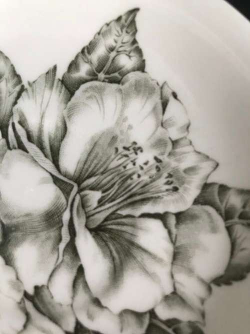 A GENUINE HAND ENGRAVED `CAMELLIA` CUP AND SAUCER - JOHNSON BROS - MADE IN ENGLAND BE