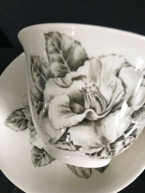 A GENUINE HAND ENGRAVED `CAMELLIA` CUP AND SAUCER - JOHNSON BROS - MADE IN ENGLAND BE