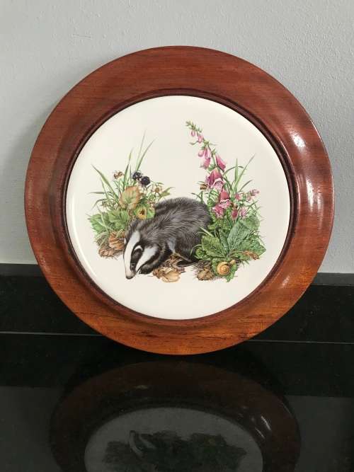 ENGLISH BONE CHINA. BADGER COLLECTORS PLATE/WALL PLATE/COLLECTABLE/ VINTAGE!!!!!