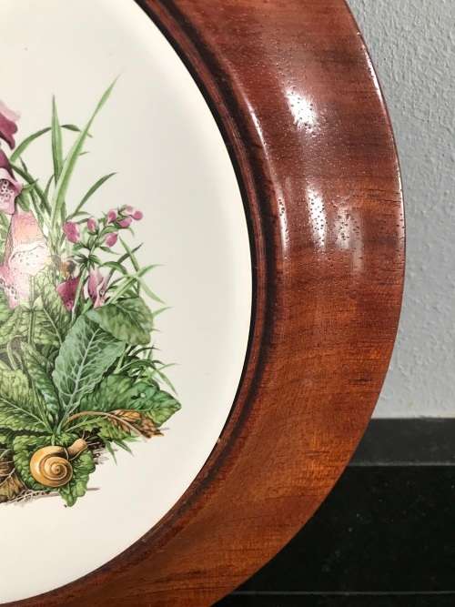 ENGLISH BONE CHINA. BADGER COLLECTORS PLATE/WALL PLATE/COLLECTABLE/ VINTAGE!!!!!