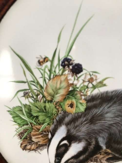 ENGLISH BONE CHINA. BADGER COLLECTORS PLATE/WALL PLATE/COLLECTABLE/ VINTAGE!!!!!