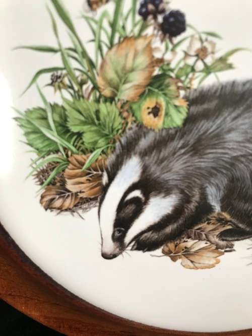ENGLISH BONE CHINA. BADGER COLLECTORS PLATE/WALL PLATE/COLLECTABLE/ VINTAGE!!!!!