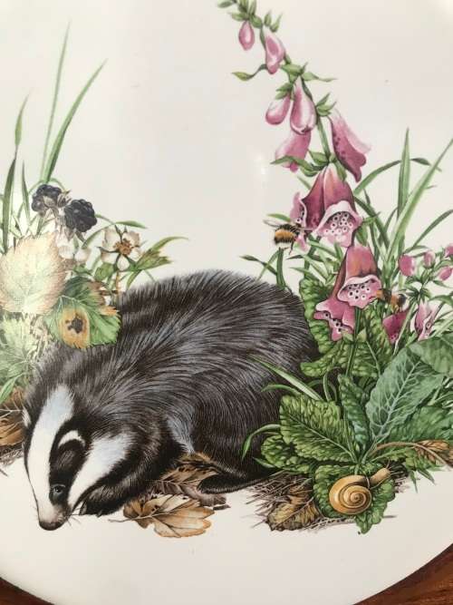 ENGLISH BONE CHINA. BADGER COLLECTORS PLATE/WALL PLATE/COLLECTABLE/ VINTAGE!!!!!