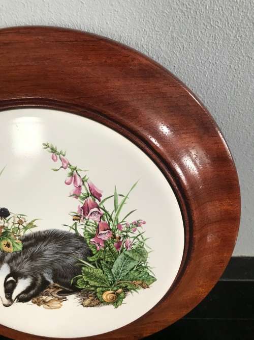 ENGLISH BONE CHINA. BADGER COLLECTORS PLATE/WALL PLATE/COLLECTABLE/ VINTAGE!!!!!