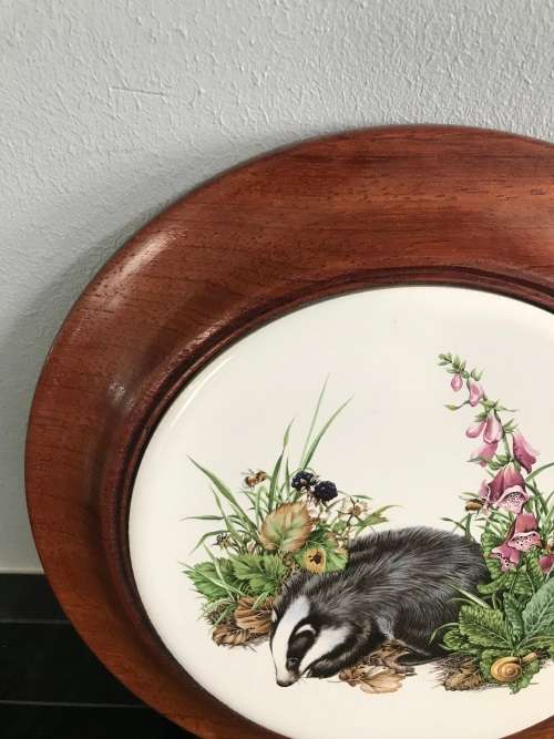 ENGLISH BONE CHINA. BADGER COLLECTORS PLATE/WALL PLATE/COLLECTABLE/ VINTAGE!!!!!