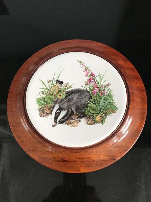 ENGLISH BONE CHINA. BADGER COLLECTORS PLATE/WALL PLATE/COLLECTABLE/ VINTAGE!!!!!