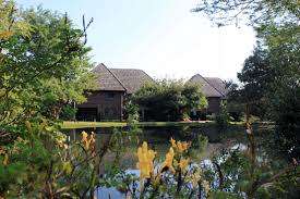 BEST GAME VIEWING! R9 200 VALUE!!! NGWENYA LODGE 6 SLEEPER 24-02 > 28-02 (4 NIGHTS)
