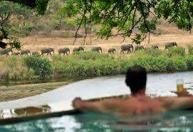 BEST GAME VIEWING! R9 200 VALUE!!! NGWENYA LODGE 6 SLEEPER 24-02 > 28-02 (4 NIGHTS)