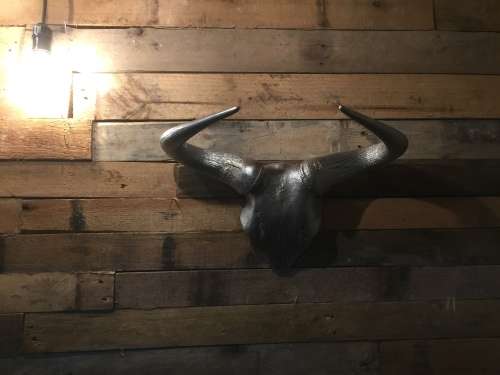 Blue-wildebeest skull, powder-coated with Gun Metal for wall decor