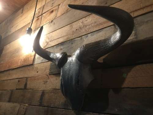 Blue-wildebeest skull, powder-coated with Gun Metal for wall decor