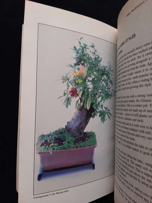 Bonsai in South Africa -Doug Hall