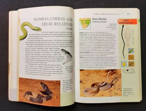 The Complete Guide to The Snakes of Southern Africa
