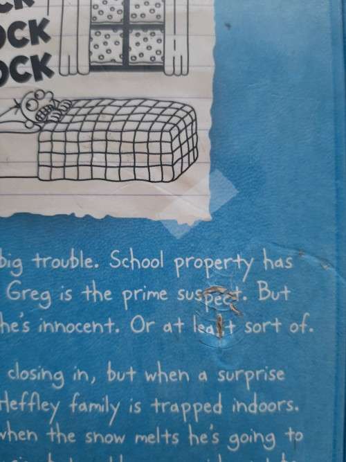 Diary of a Wimpy Kid Cabin Fever  - Jeff Kinney