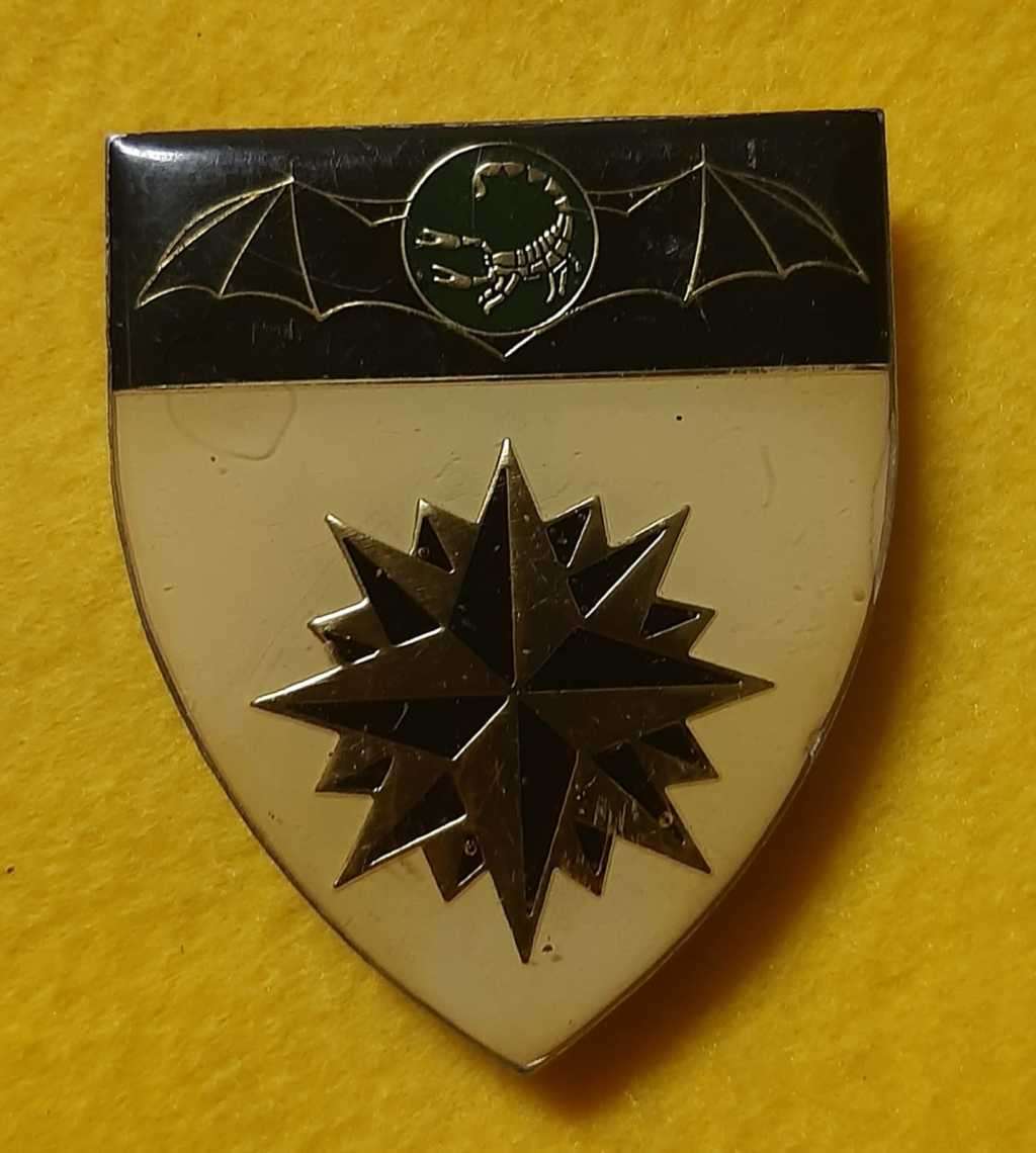 2 Reconnaissance Regiment Shoulder Flash - Left Hand Gold Bat Wings