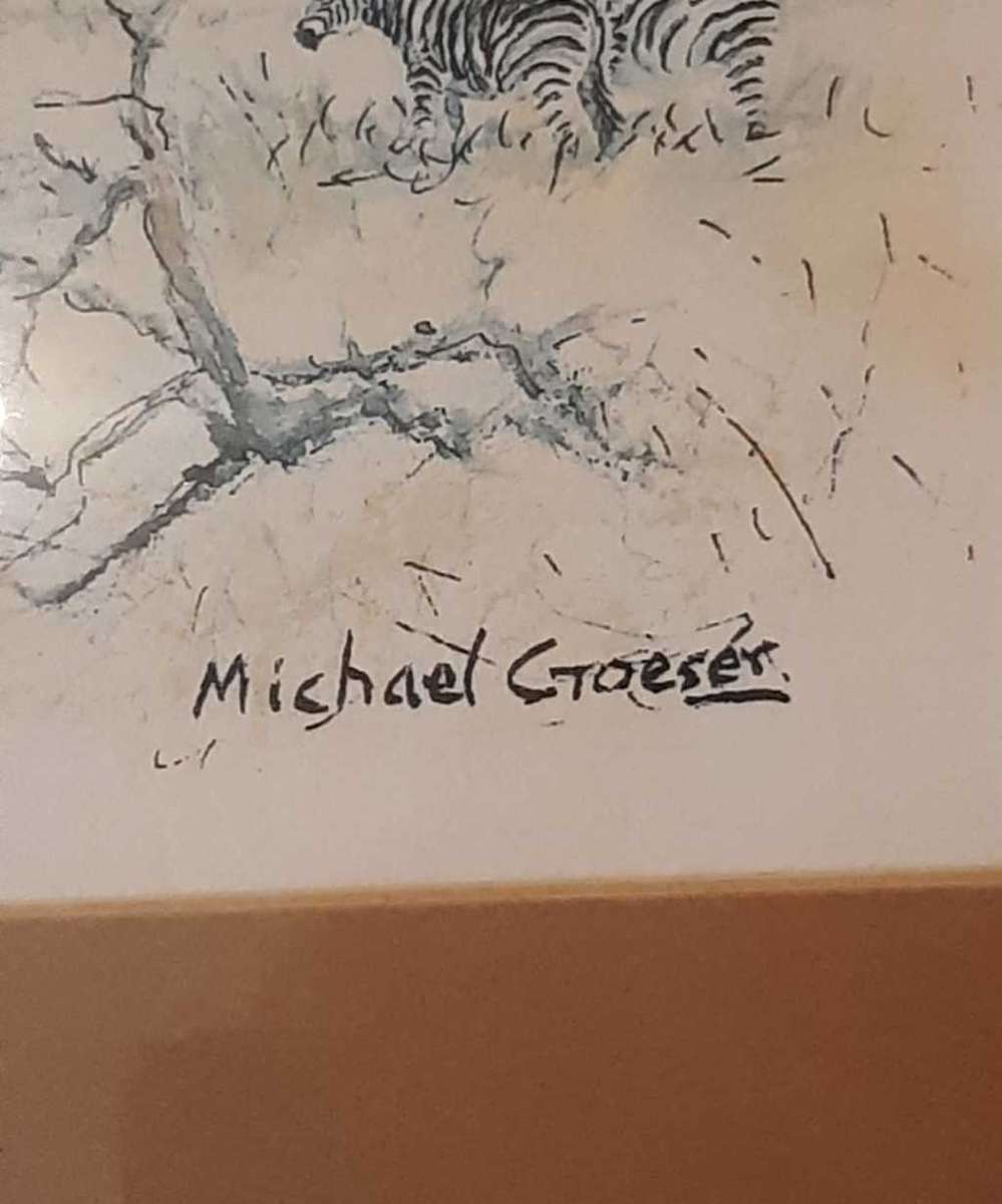 Zebra on the Veld -Original Watercolour. Framed behind glass. Signed by artist.