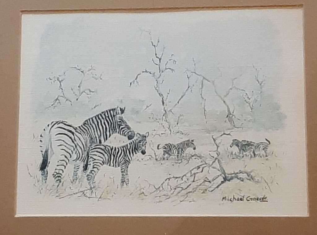 Zebra on the Veld -Original Watercolour. Framed behind glass. Signed by artist.