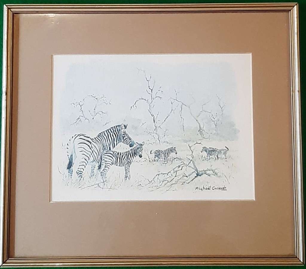 Zebra on the Veld -Original Watercolour. Framed behind glass. Signed by artist.
