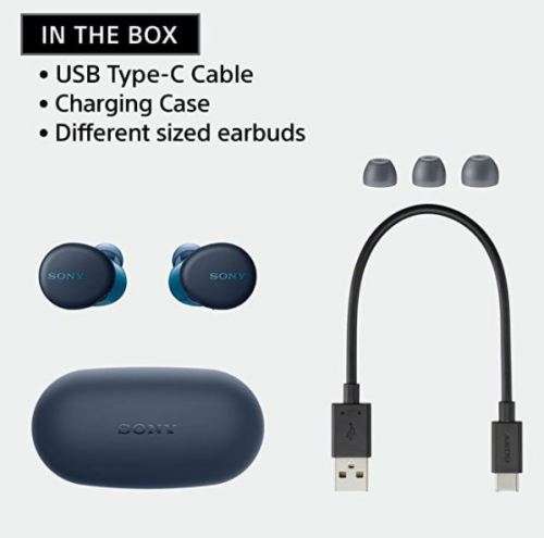 Sony WFXB700/B Bluetooth True Wireless In-Ear Headphones with Extra Bass (Blue)