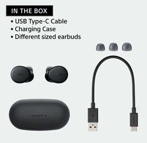 Sony WFXB700/B Bluetooth True Wireless In-Ear Headphones with Extra Bass (Black)