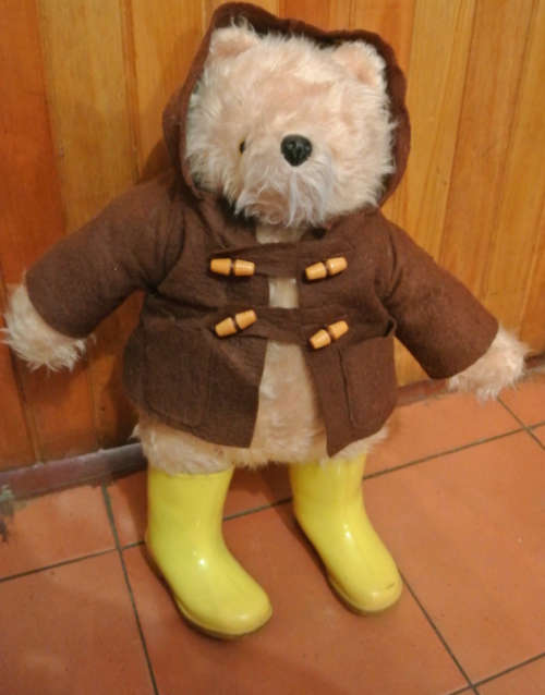 paddington bear
