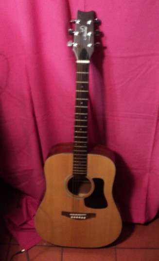 Marina guitar + guitar pick up