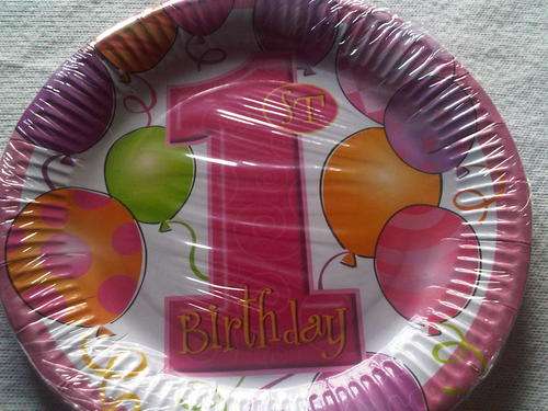 1st Birthday Girl Party for 10