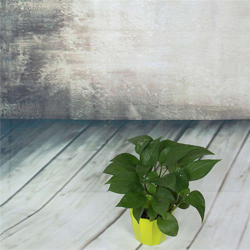 1.5x2.1m Arched Windows Gray Wall Non-Woven Shooting Studio Photography Background Backdrop