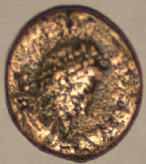 Ancient Roman coin of Emperor Arcadius